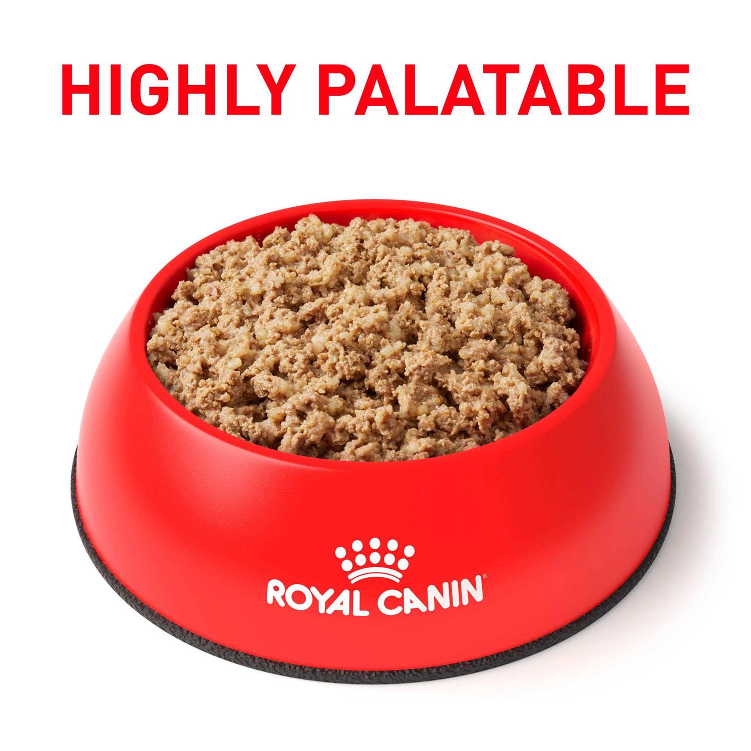 Royal Canin Veterinary Diet Gastrointestinal Loaf Canned Dog Food - Healthber