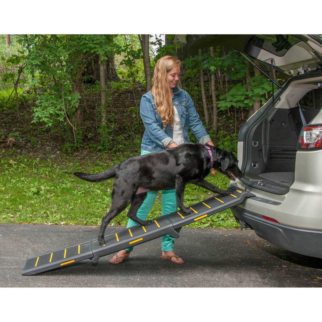 Pet Gear Tri-Fold Ramp Reflective - Healthber
