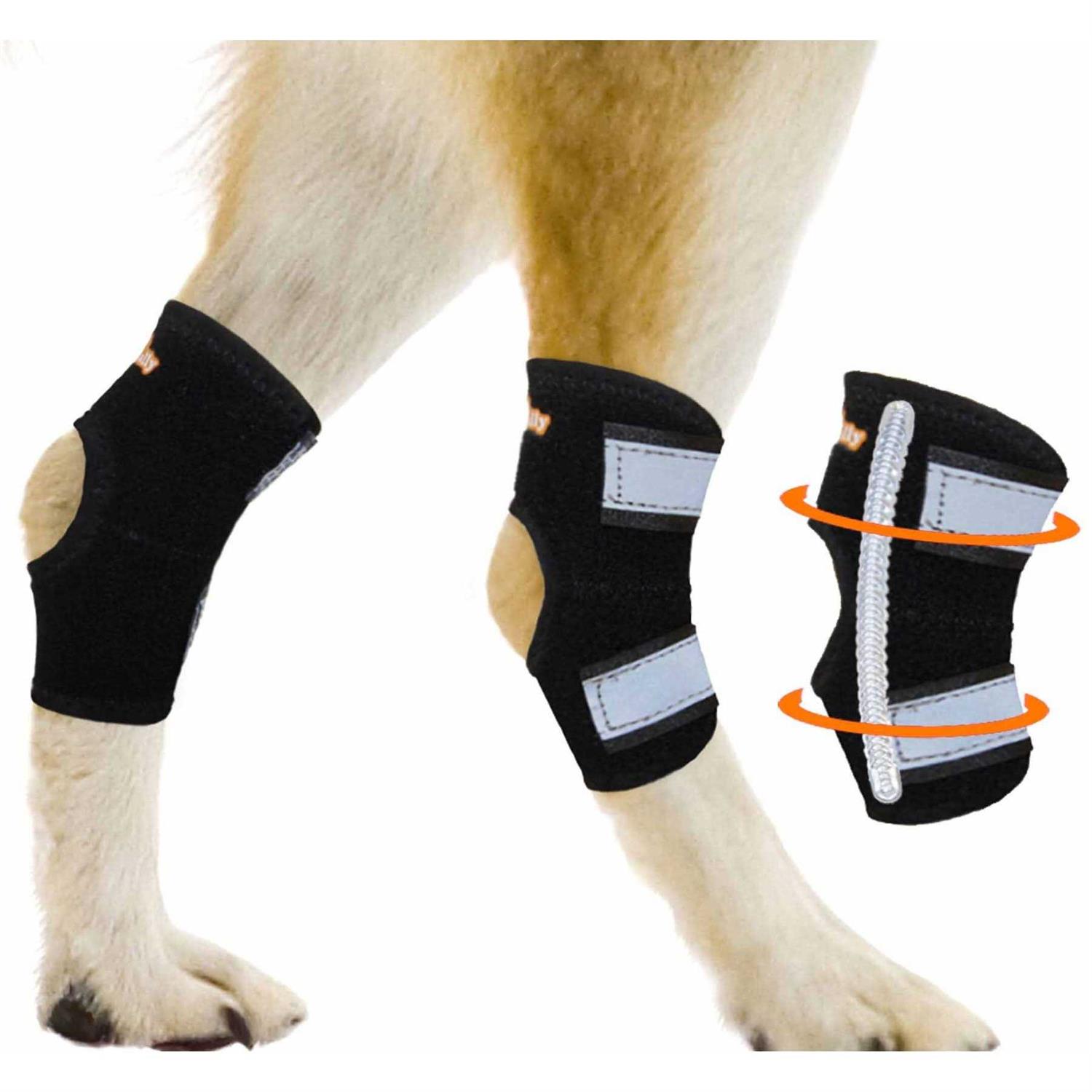 NeoAlly Dog Rear Leg Hock Metal Spring Strips - Healthber