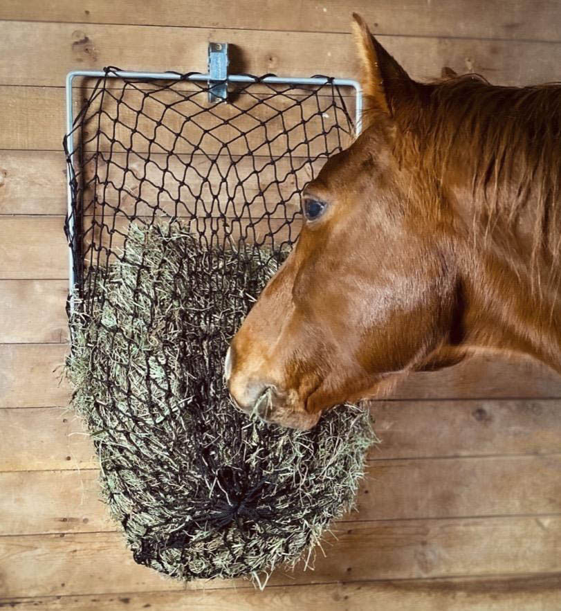 Hay Chix Free-Up Wall Mount Hay Feeder - Healthber