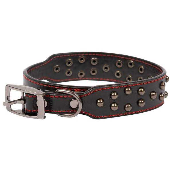Vibrant Life Studded Leather Fashion Dog Collar - Healthber