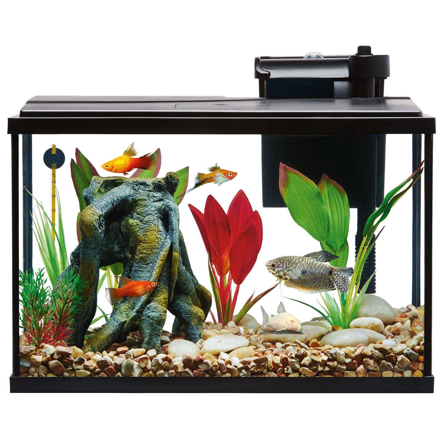 Top Fin Essentials Aquarium Tank Starter Kit - Healthber
