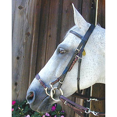 Kineton Noseband - Healthber