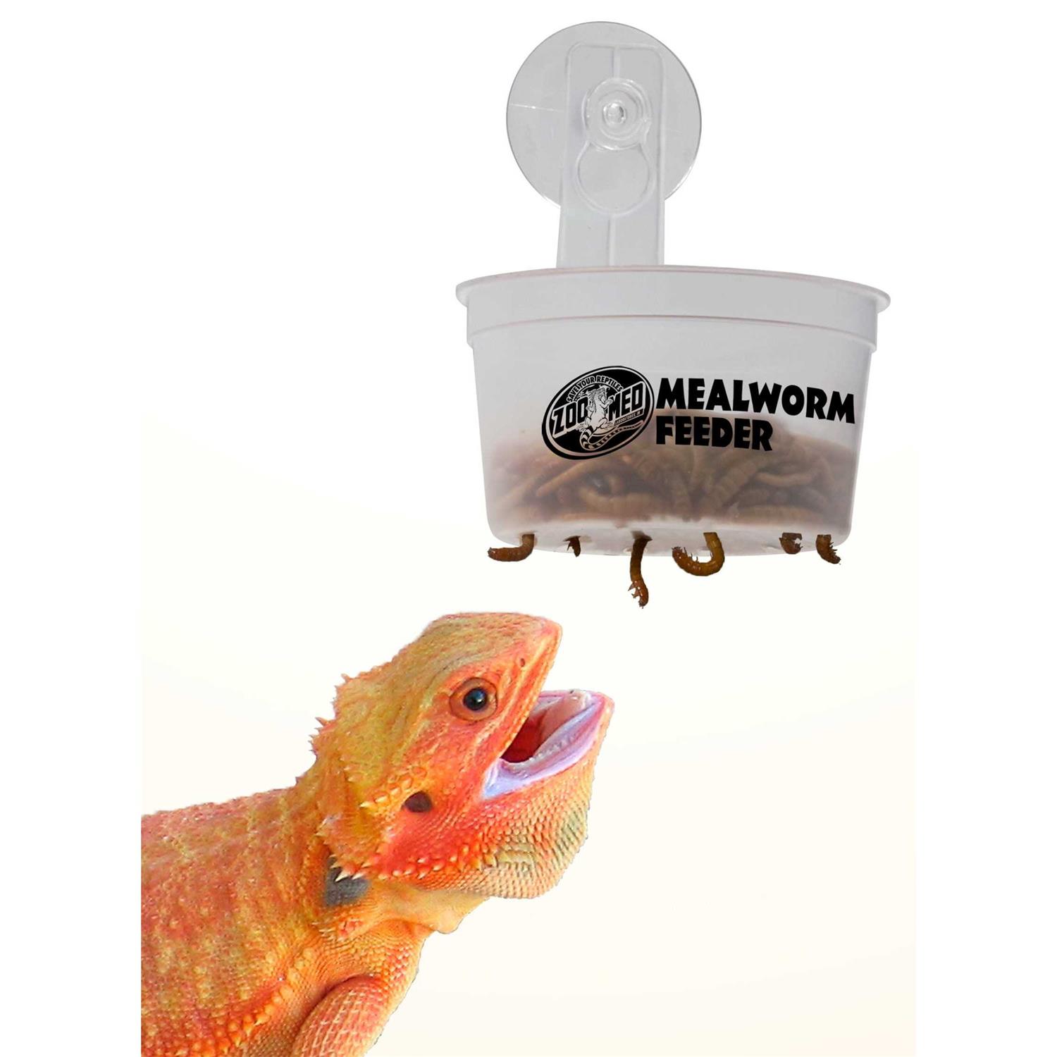 Zoo Med Hanging Mealworm Feeder - Healthber
