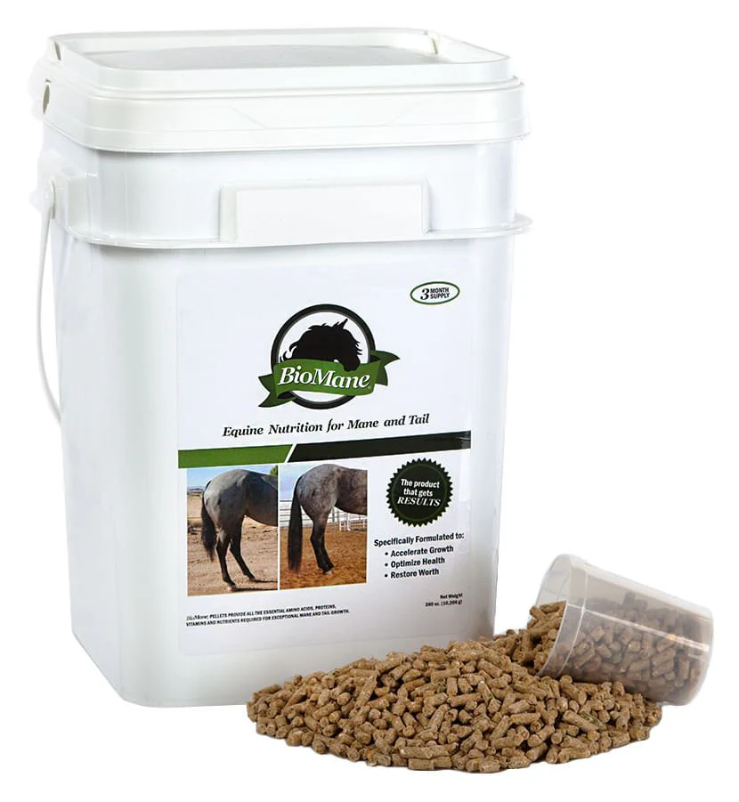 BioMane Equine Pellets - Healthber