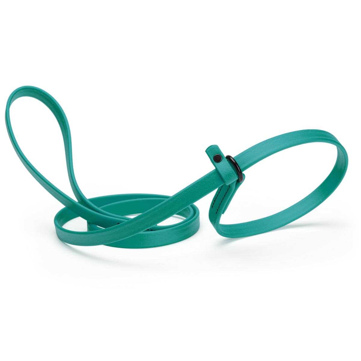 Dogline Biothane Slip Dog Leash for Small, Medium and Large Dogs - Healthber