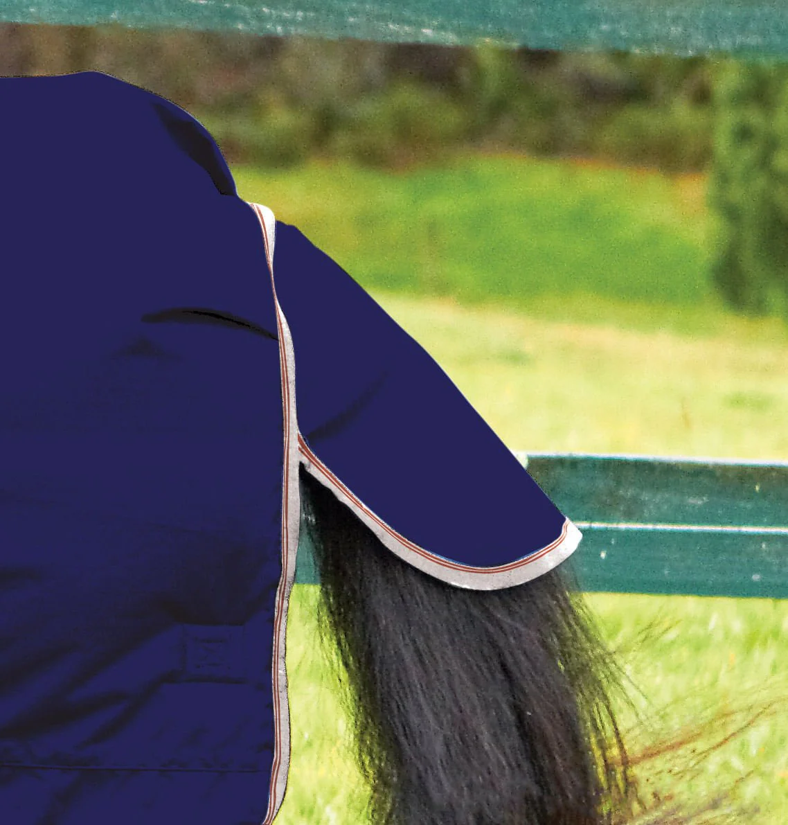 WeatherBeeta ComFiTec Essential Combo Neck Medium Weight Horse Blanket - Healthber