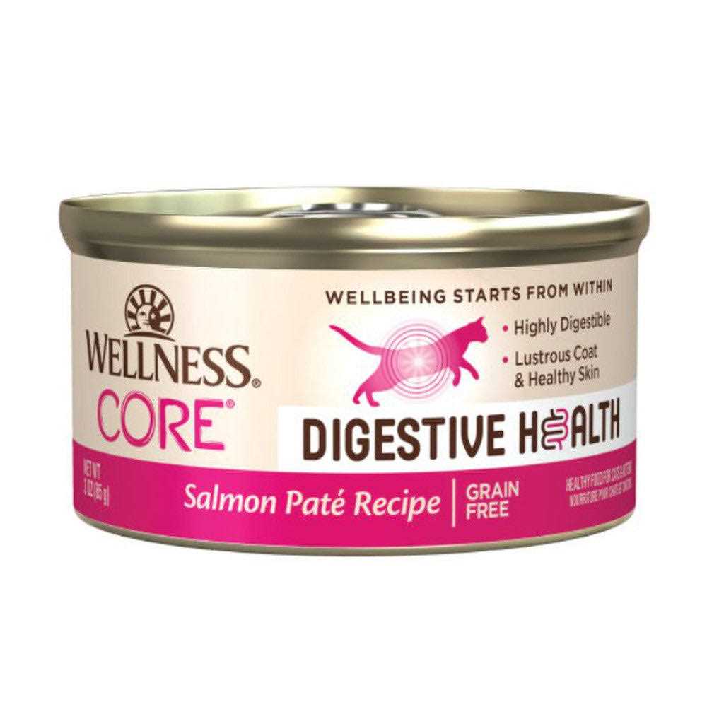 Wellness Core Digestive Health Pate Recipe Wet Cat Food - Healthber