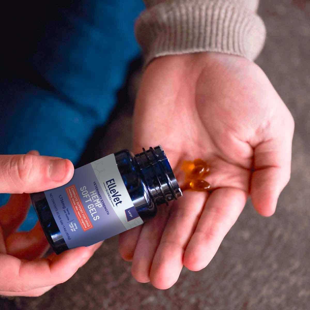 Hemp Oil For Mobility Calming & More Dogs - Healthber