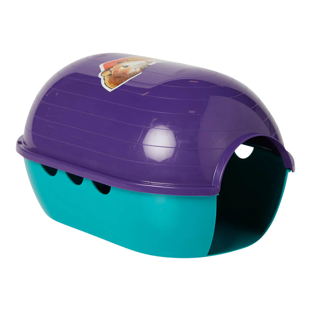 Guinea Pig Igloo, 2pc - Healthber