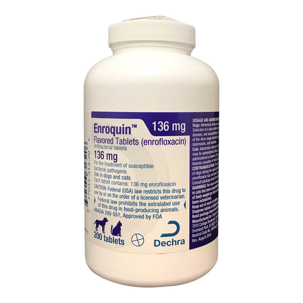 Rx Enroquin (enrofloxacin) Tablets for Dogs and Cats - Healthber