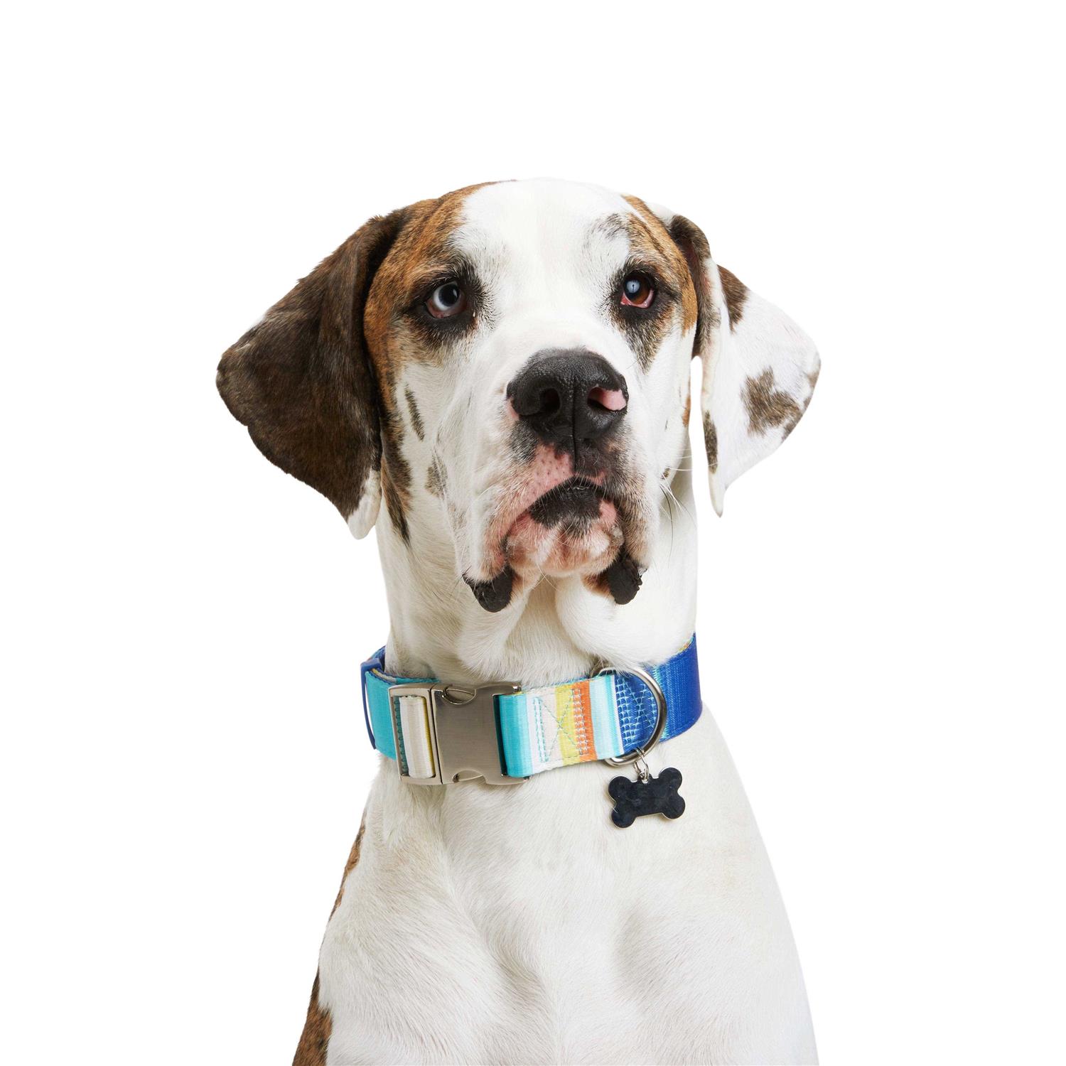 YOULY Reflective Dog Collar - Healthber