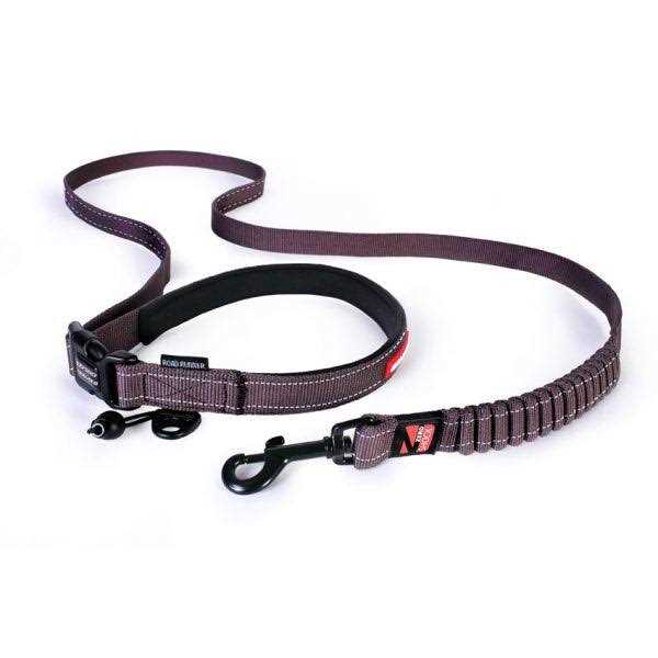 EzyDog Road Runner Leash - Healthber