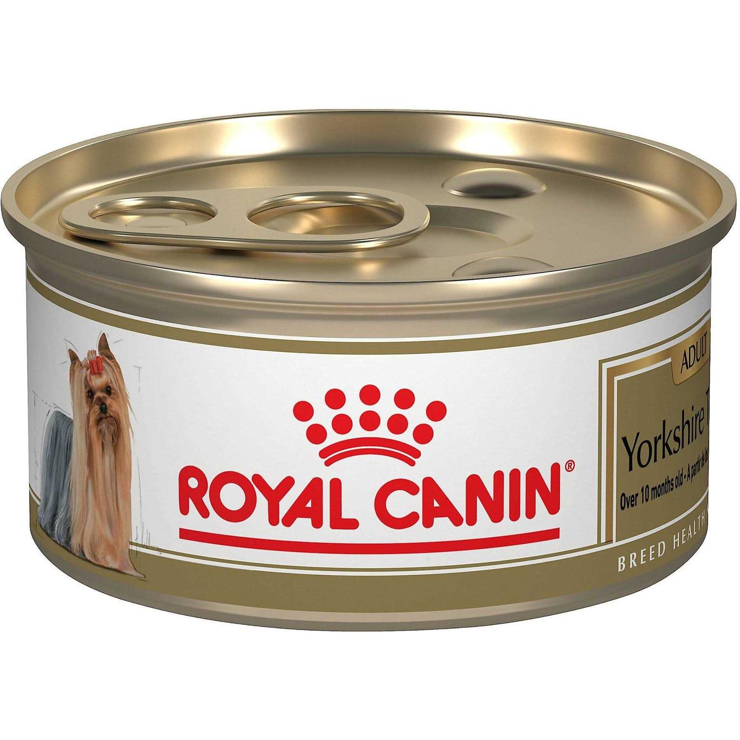 Royal Canin Breed Health Nutrition Yorkshire Terrier Adult Loaf In Sauce Dog Food - Healthber