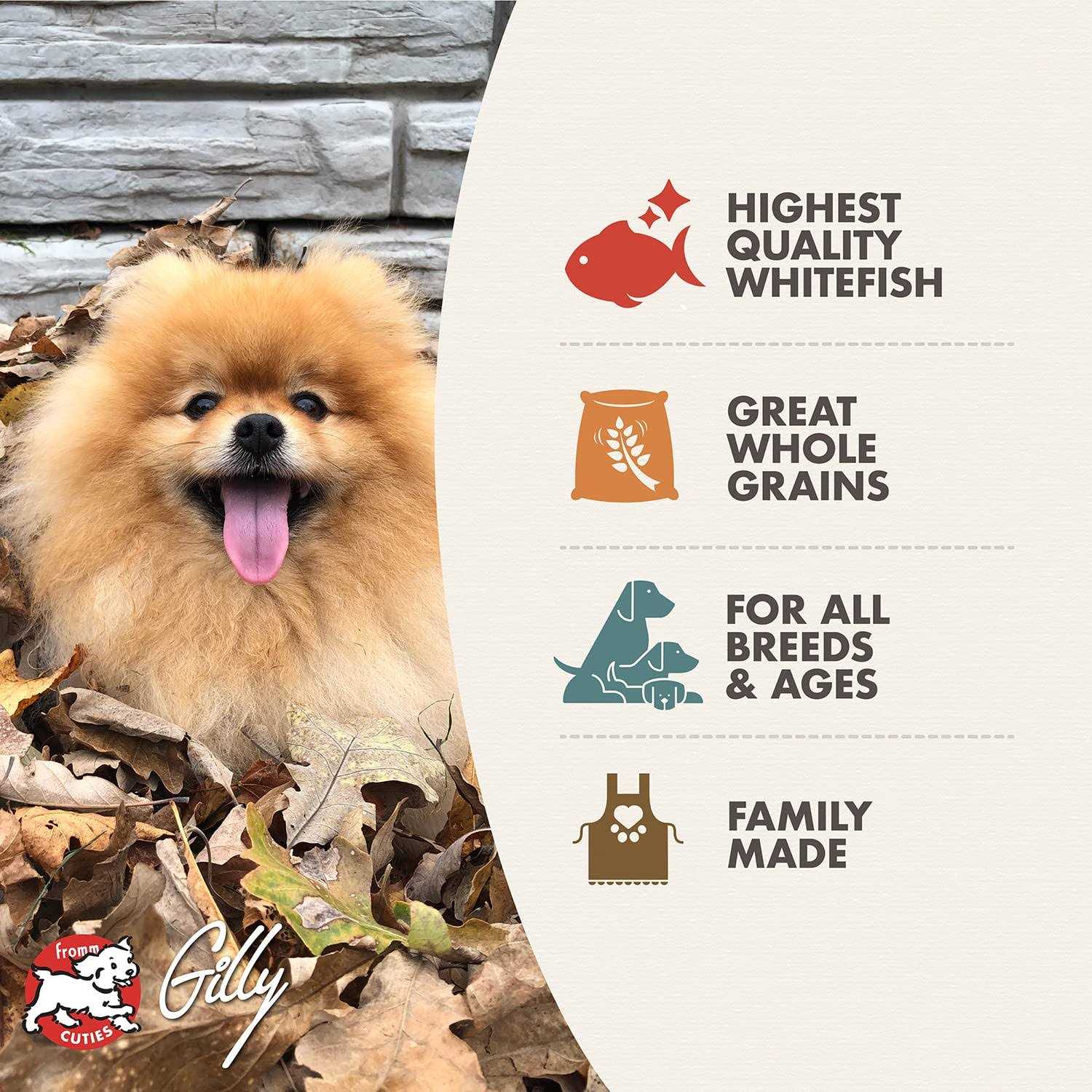 Fromm Four Star Whitefish Potato Dry Dog Food - Healthber