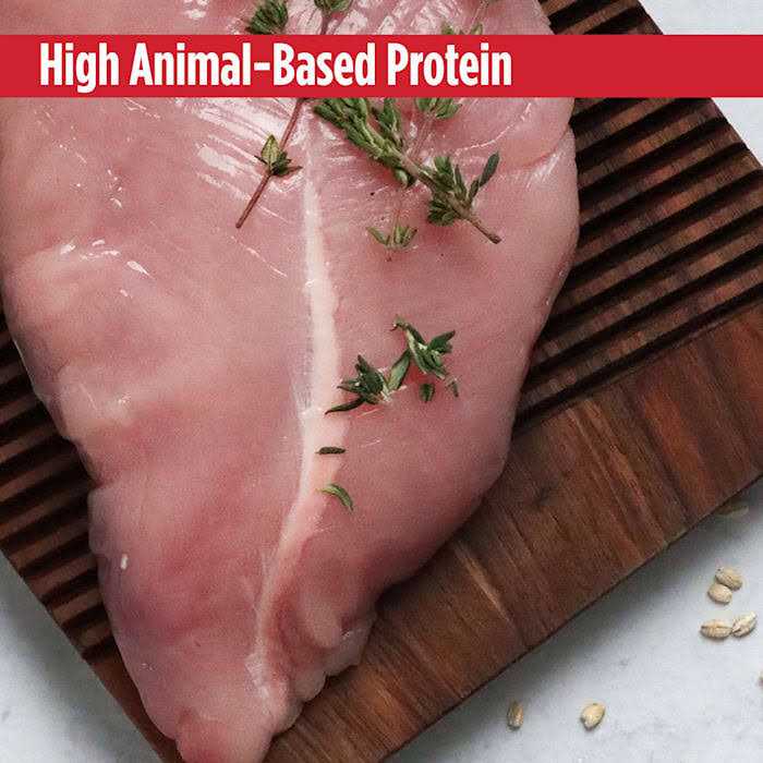 Nulo MedalSeries Turkey Small Breed Adult Dry Dog Food - Healthber