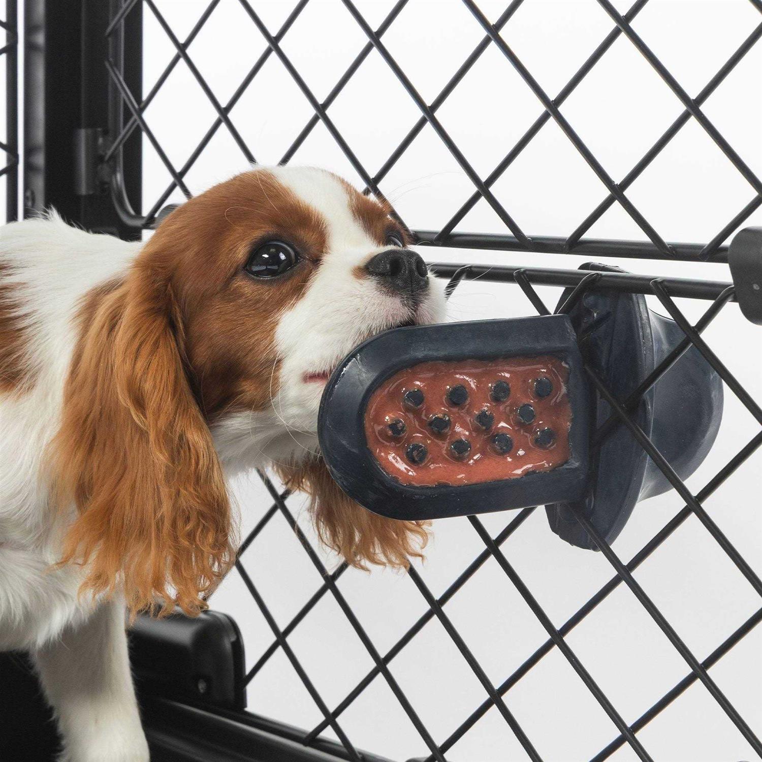 Diggs Dog Groov Crate Training Aid - Healthber