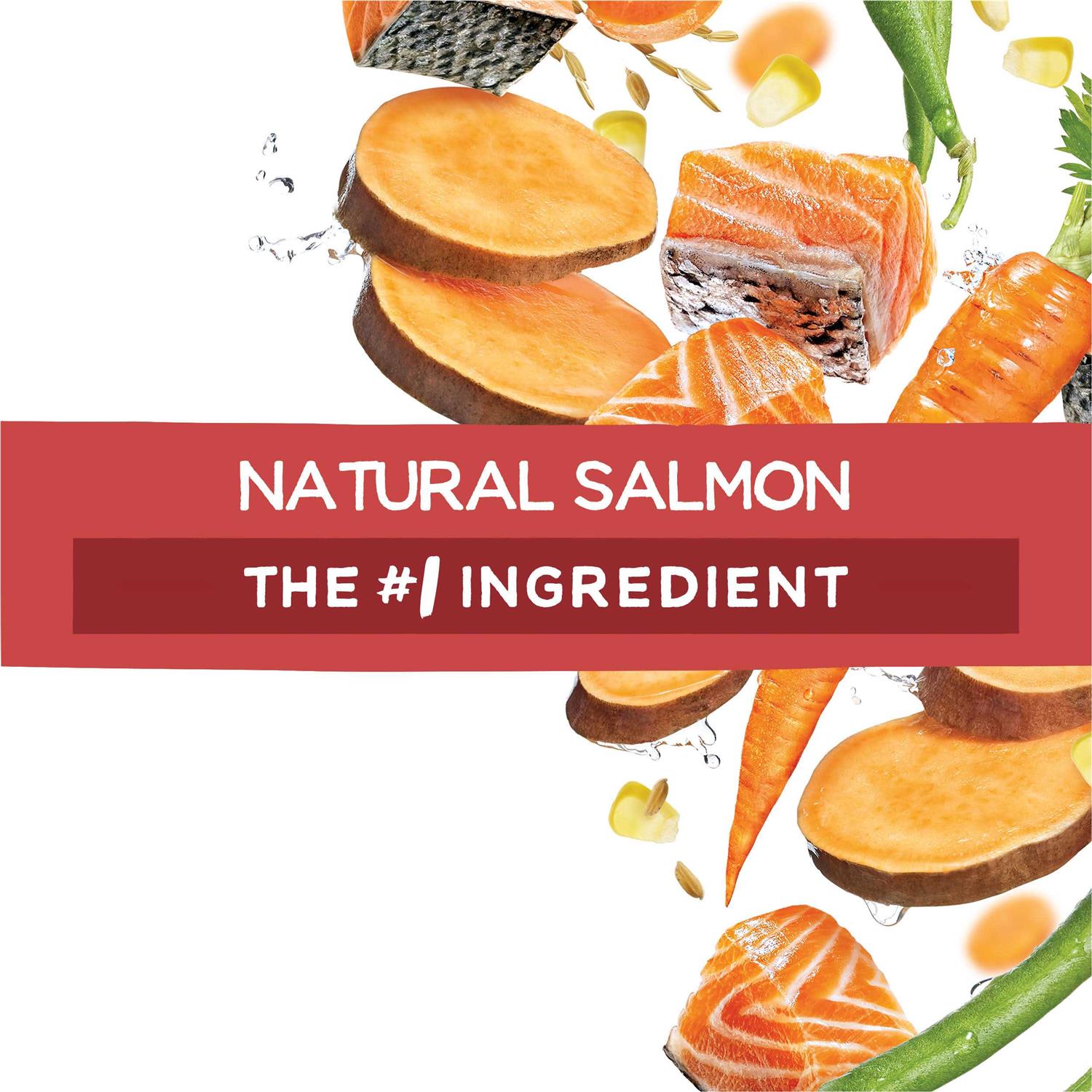 Purina Beneful Originals Salmon Dry Dog Food - Healthber