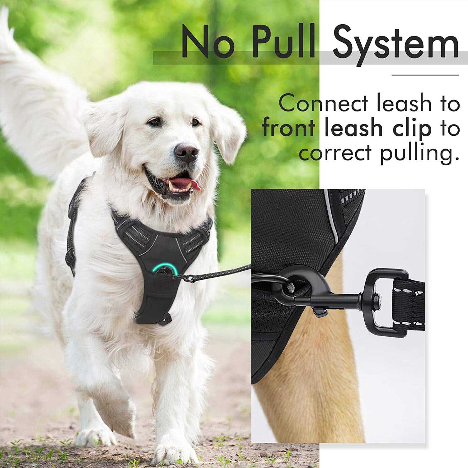 rabbitgoo Dog Harness No Pull Pet Harness with 2 Leash Clips Adjustable Soft Padded Dog Vest - Healthber