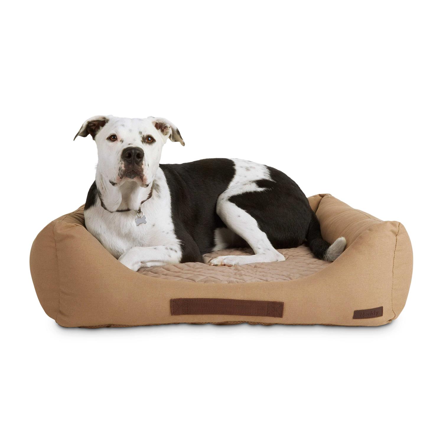 Reddy Seasonless Dog Bed - Healthber