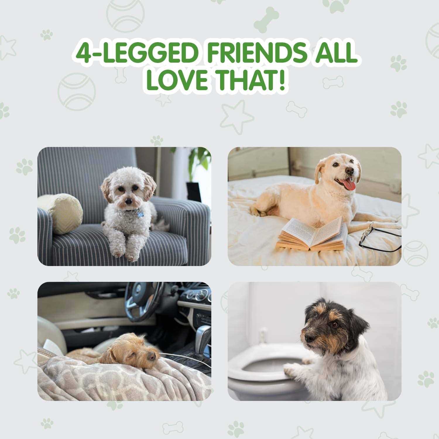COCOYO Best Value Dog Training Pads - Healthber