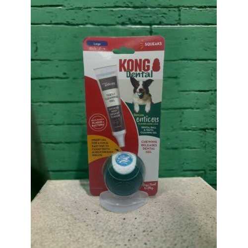 Kong Dental Ball & Teeth Cleaning Gel Dog Toy - Healthber