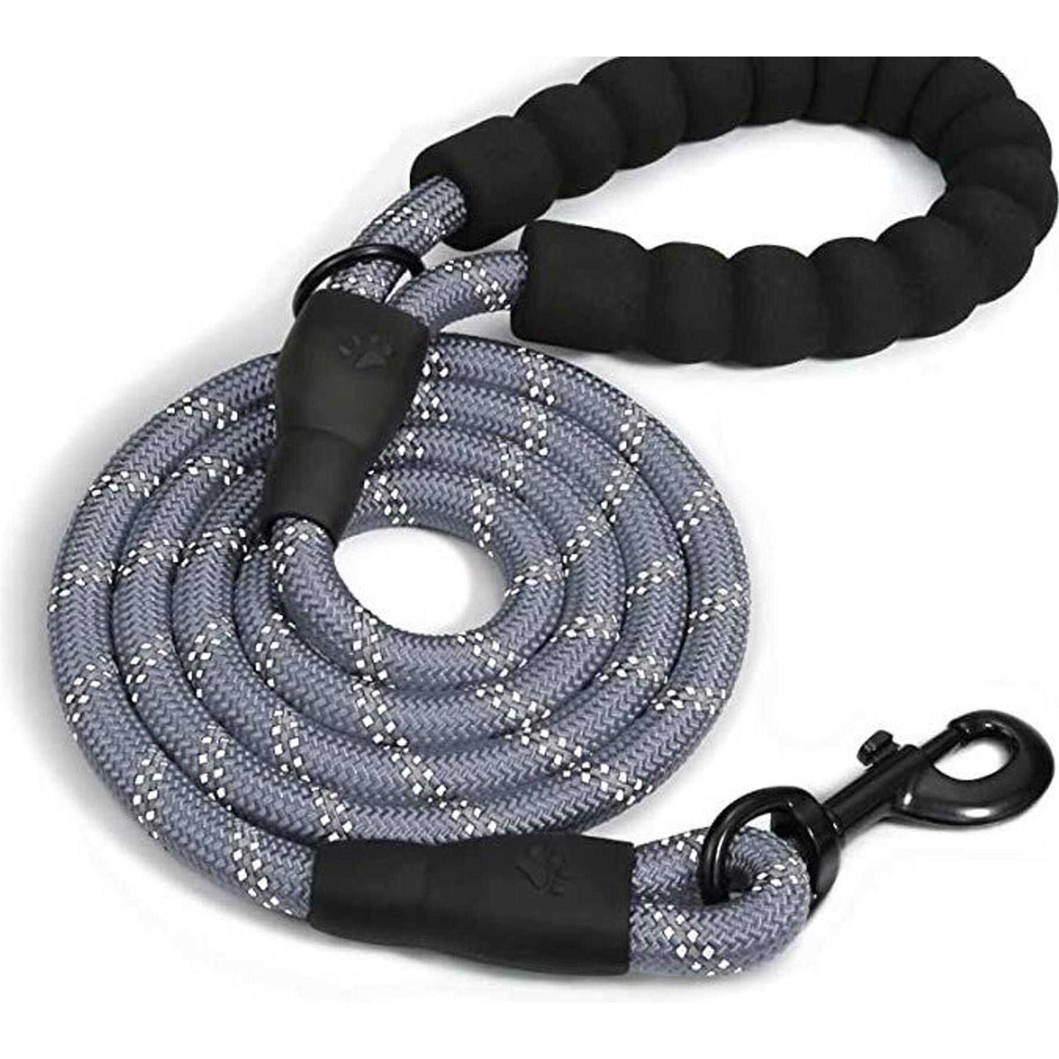 Doggy Tales Braided Dog Leash - Healthber