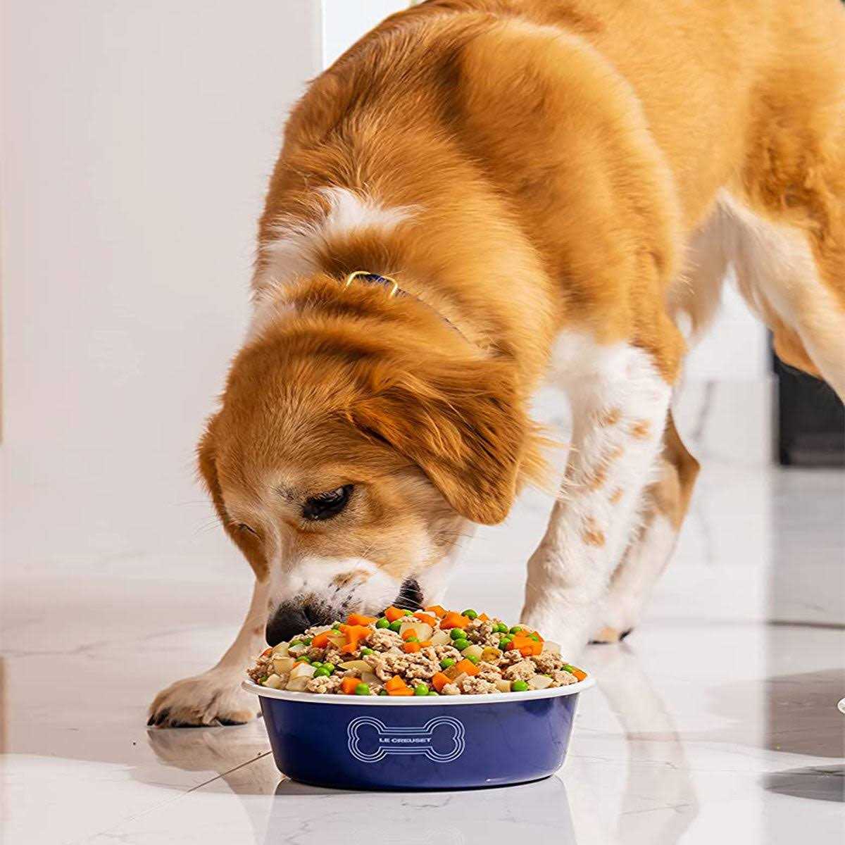 Le Creuset Dog Bowl - Healthber