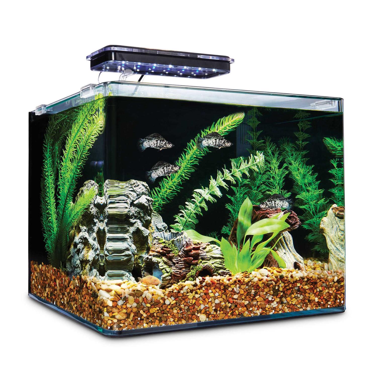 Imagitarium Frameless Freshwater Aquarium Kit - Healthber