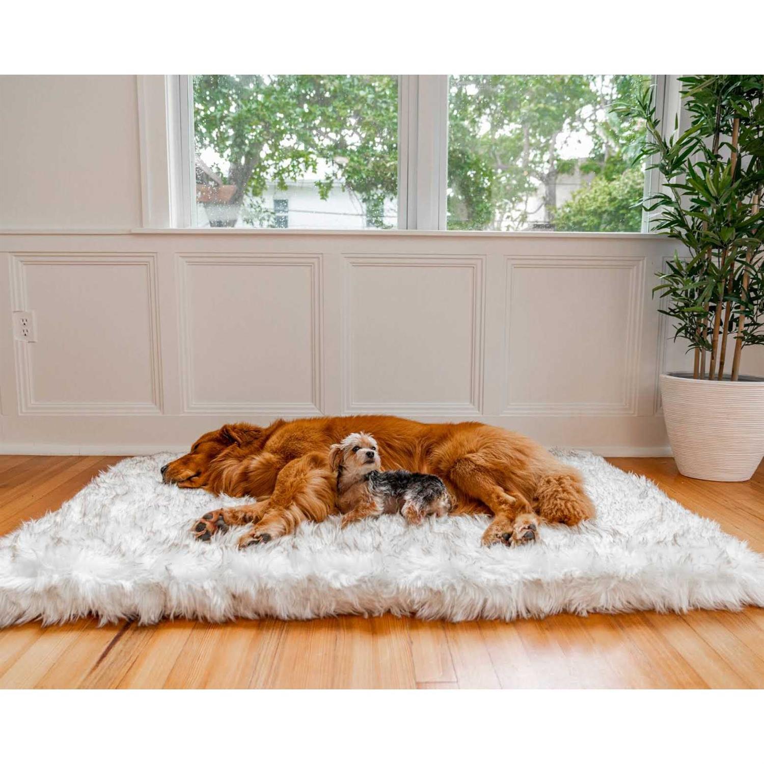 Paw Brands PupRug Faux Fur Orthopedic Dog Bed - Healthber