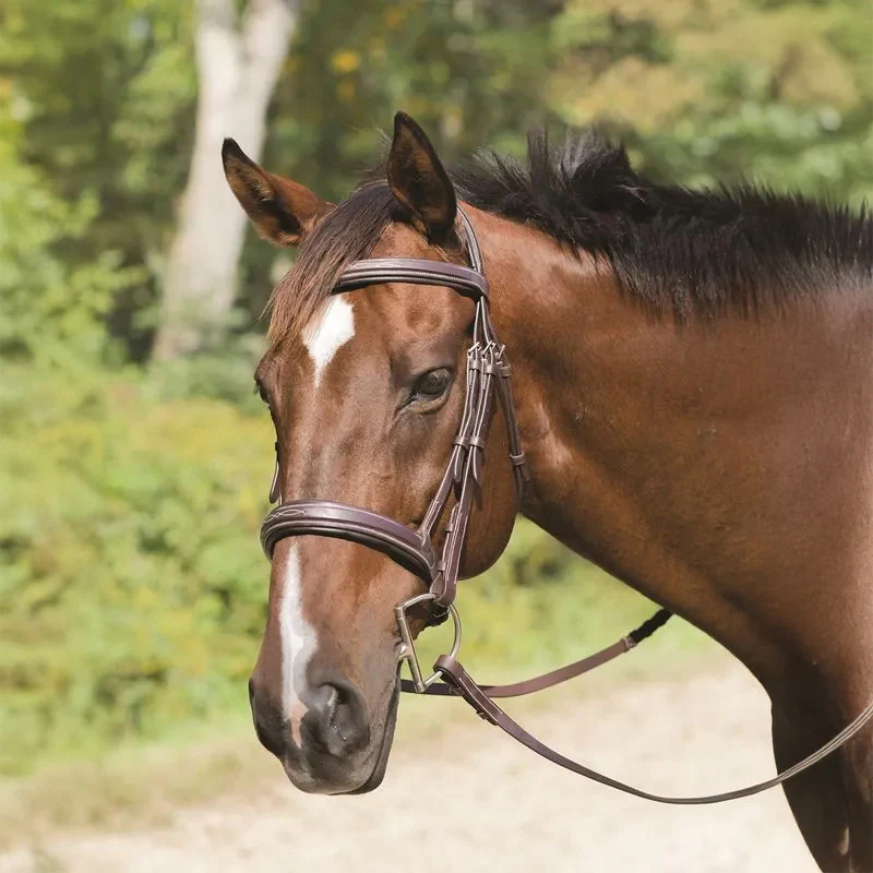 Avignon Wellington Bridle - Healthber