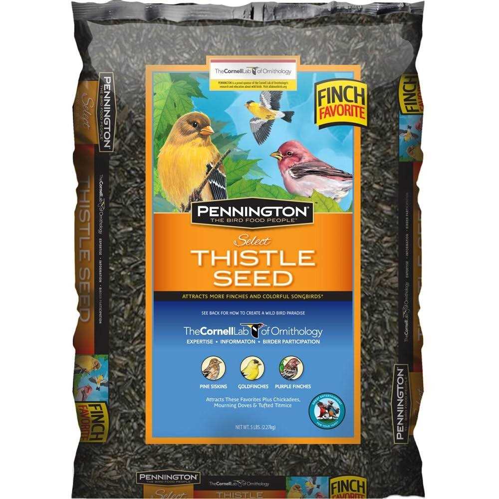 Pennington Select Thistle Seed - Healthber