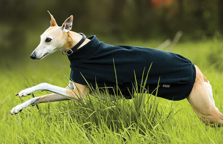 Amigo Fleece Dog Blanket - Healthber