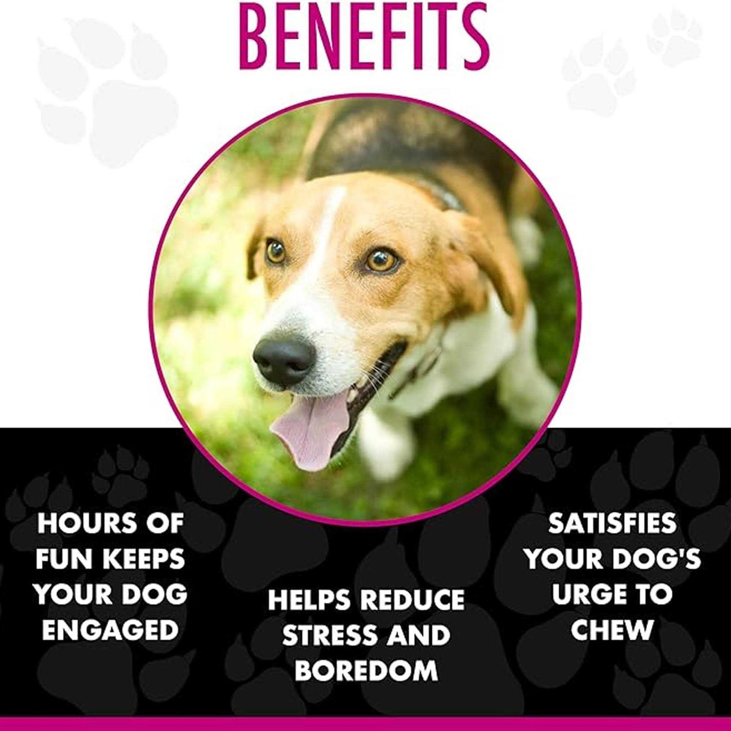 Chase ‘n Chomp Amazing Squeaker Ball Pets - Healthber