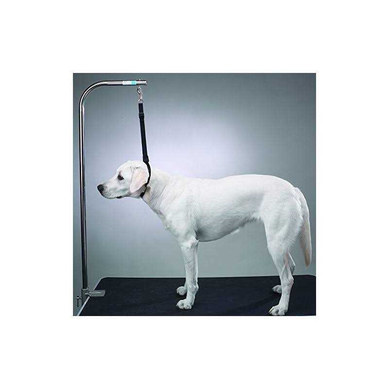 Top Performance Nylon Table Harness 27 - Healthber