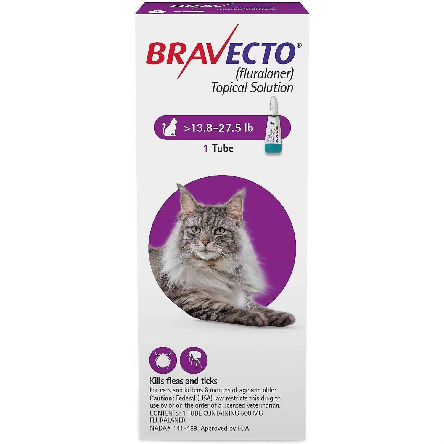 Bravecto Topical Solution for Cats - Healthber