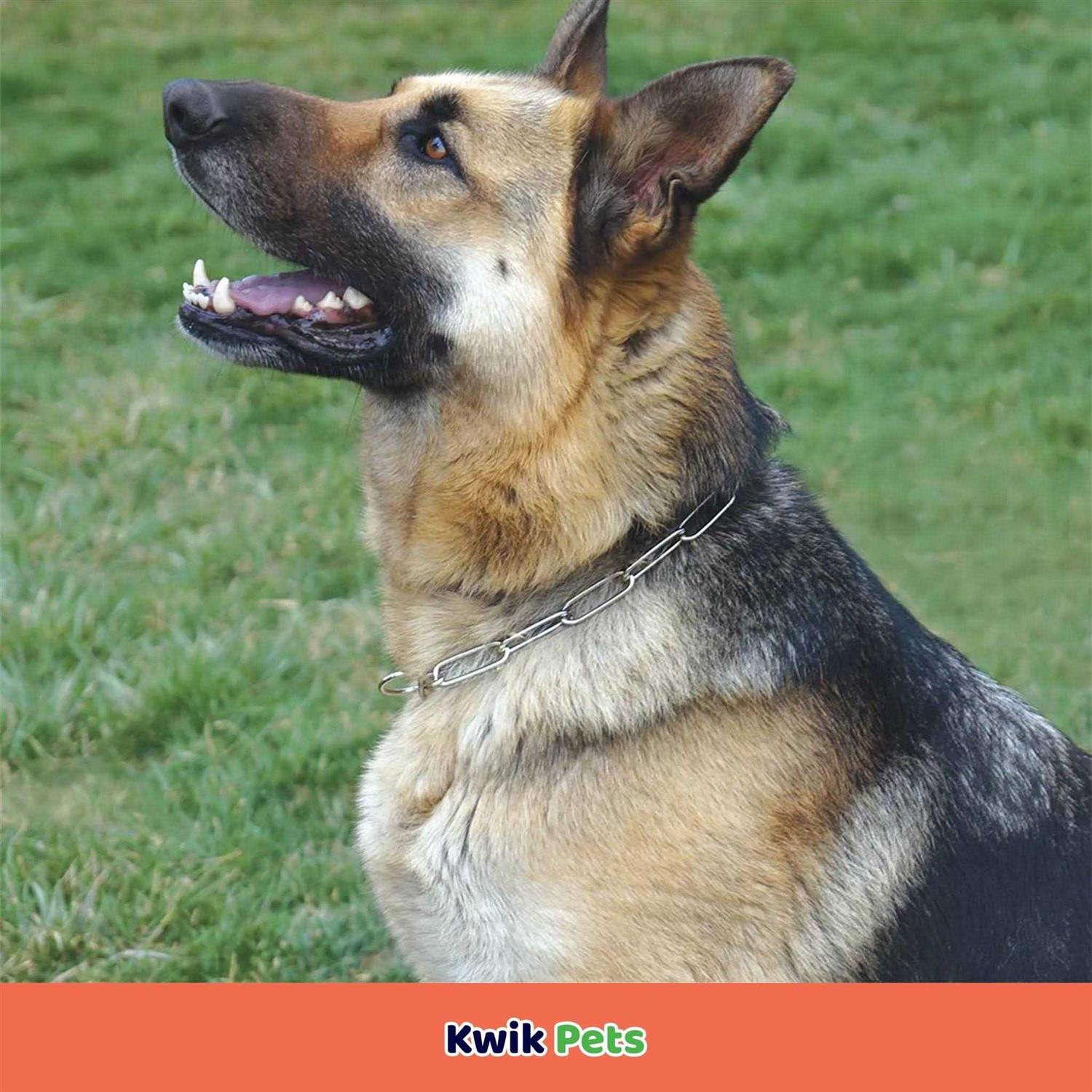 Herm Sprenger Fur Saver Link Chain Training Dog Collar - Healthber