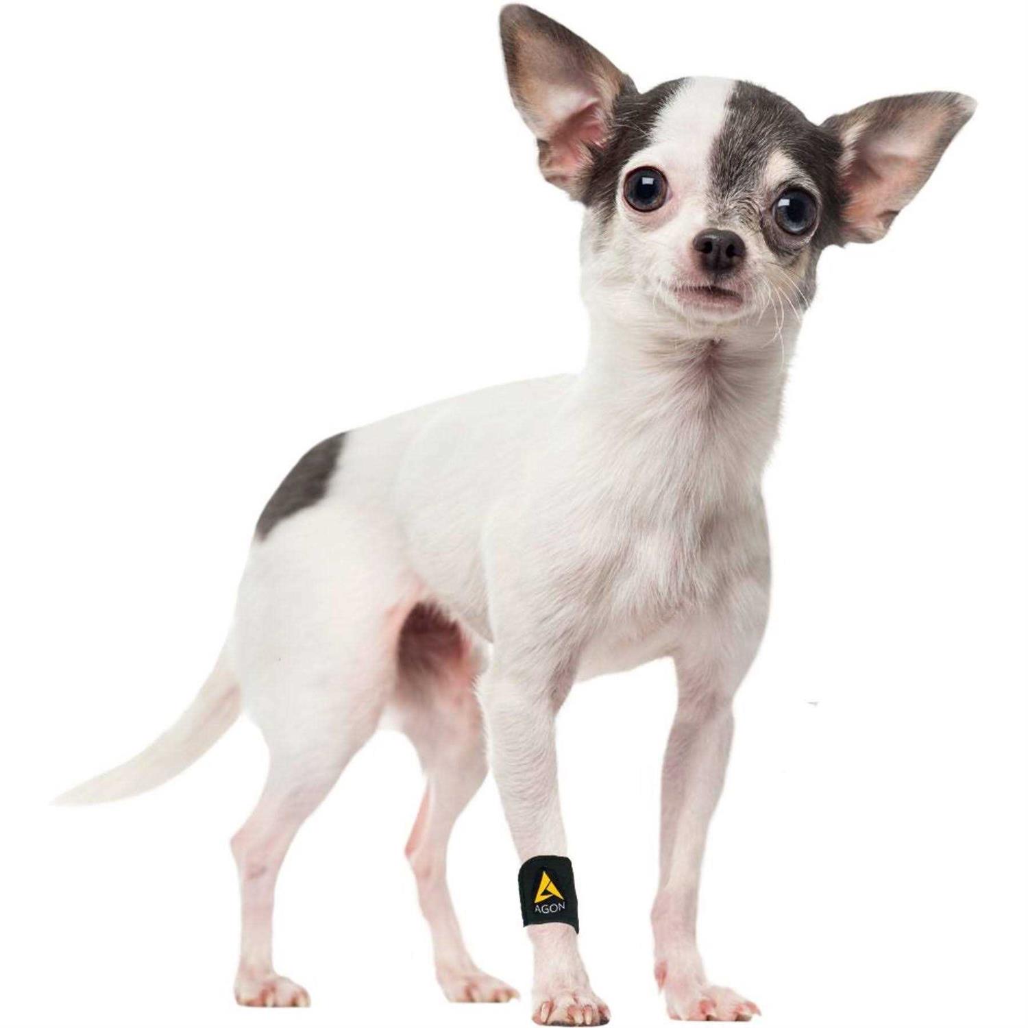 Pair Agon Dog Canine Front Leg Brace Paw Compression Wraps with Protects Wounds - Healthber