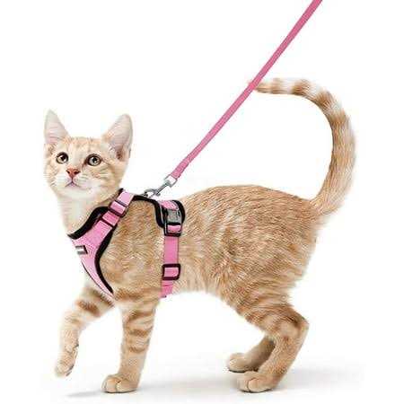 Rabbitgoo Cat Harness and Leash for Walking Escape Proof Soft Adjustable Vest Harnesses for Cats - Healthber