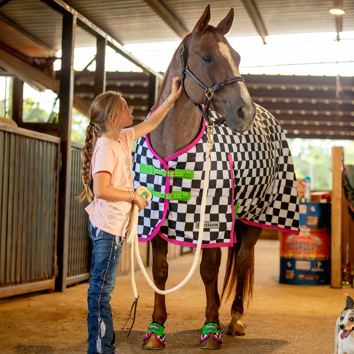 Expression 1200 Denier Standard Neck Turnout Sheet, 0 Gram, Skater Cowgirl - Healthber