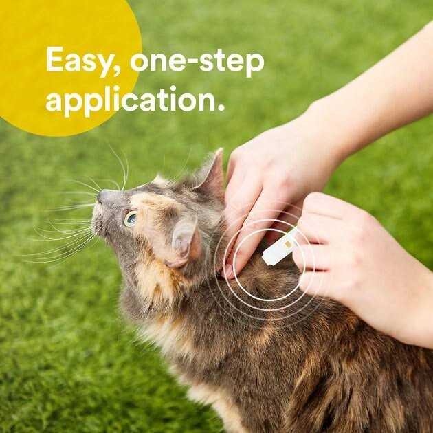 Onguard Plus Flea & Tick Spot Treatment for Cats - Healthber