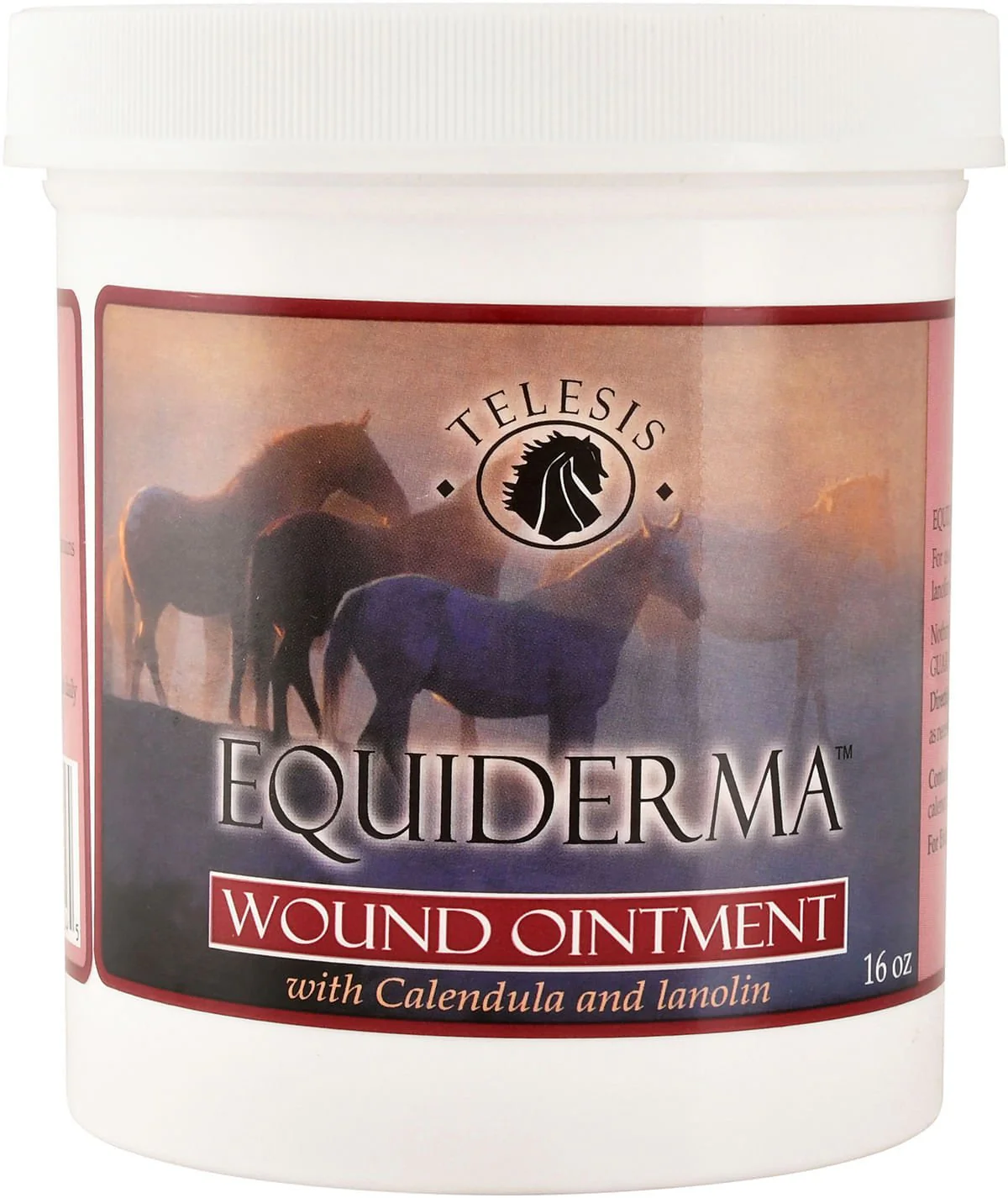 Equiderma Wound Ointment - Healthber
