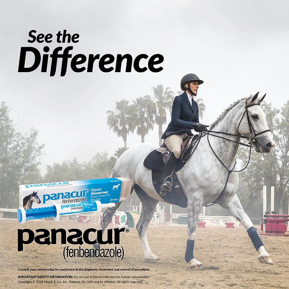 Panacur Equine Fenbendazole Dewormer Paste, 25 g - Healthber