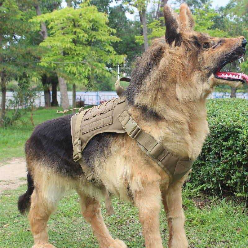 Icefang Tactical Dog Harness Size,2X Metal Buckle,Working Dog MOLLE Vest with Handle,No Pulling Front Leash Clip,Hook and Loop Panel - Healthber