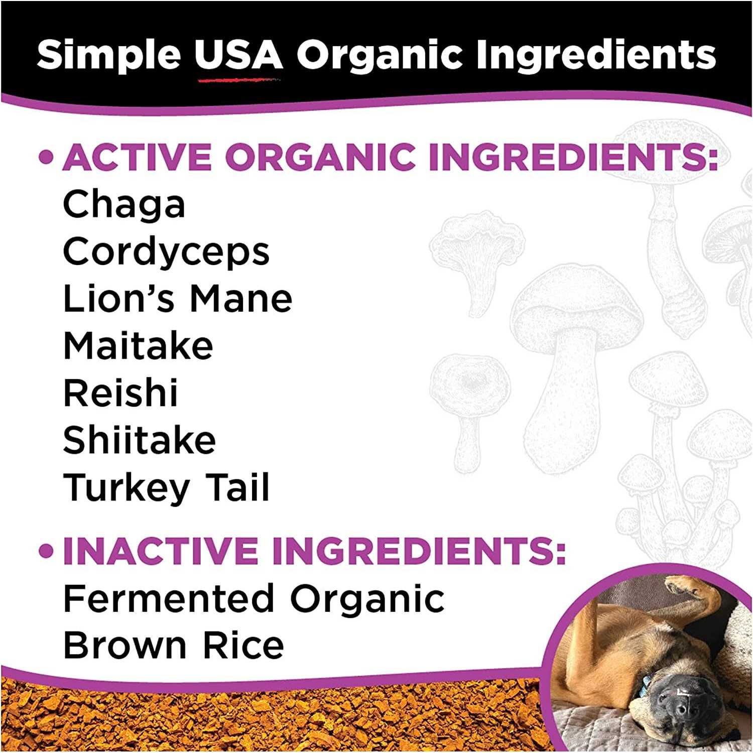 Super Snouts Super Shrooms - Healthber