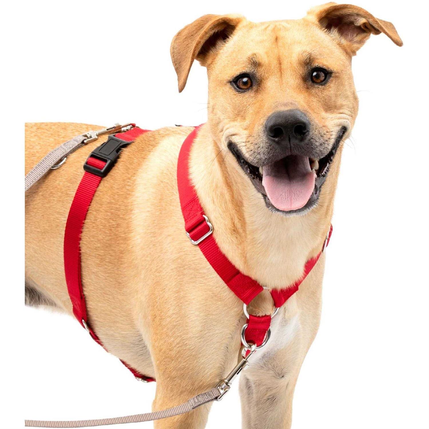 PetSafe Sure-Fit Harness - Healthber
