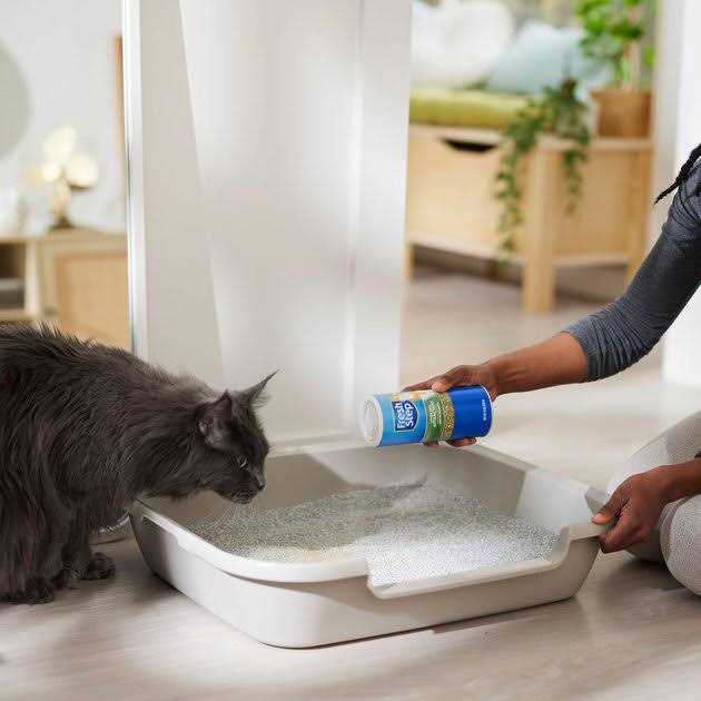 Fresh Step Litter Box Attractant Powder to Aid in Training - Healthber