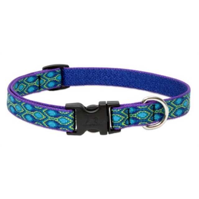 Original Designs Dog Collar - Healthber