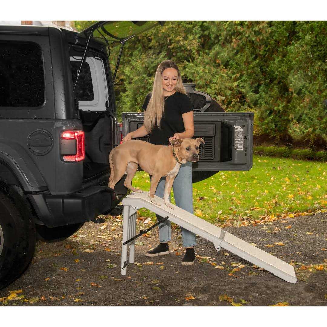 Pet Gear Free-Standing Pet Ramp with SupertraX - Healthber