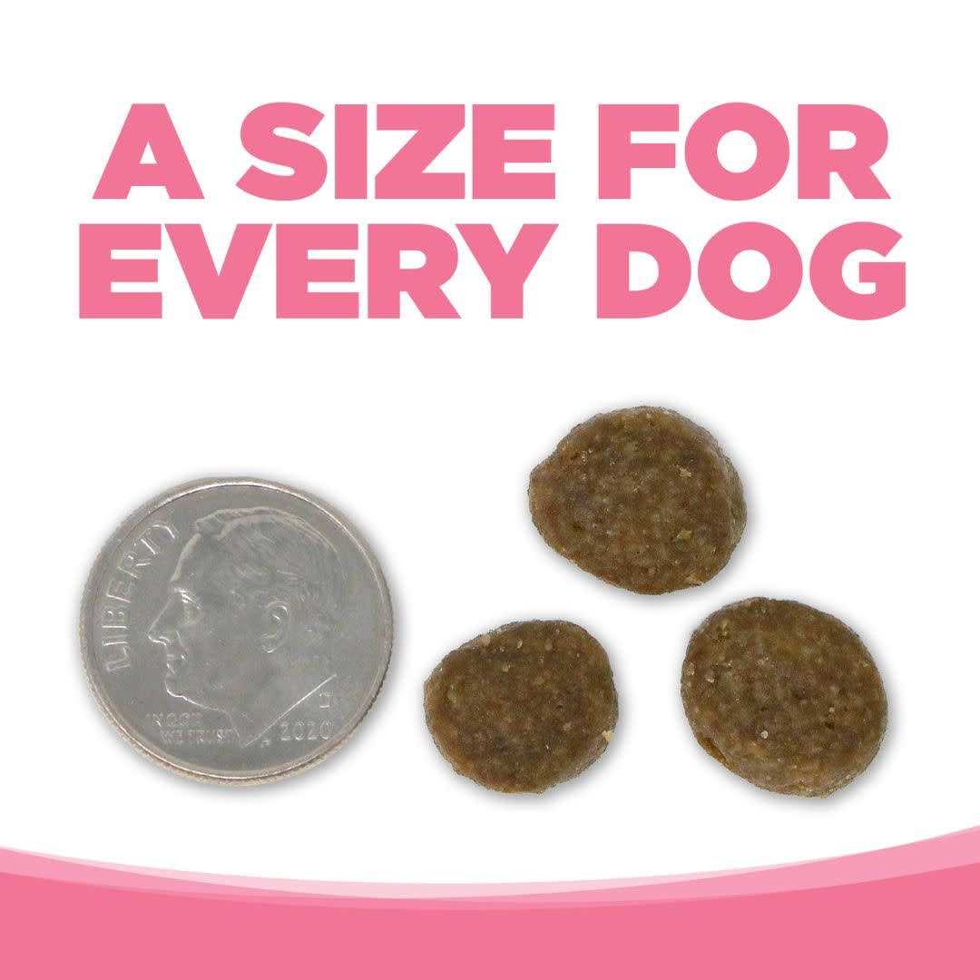 PureVita Dog Food Grain Free Salmon - Healthber